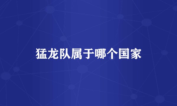 猛龙队属于哪个国家