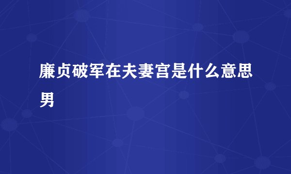 廉贞破军在夫妻宫是什么意思男