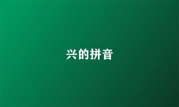兴的拼音