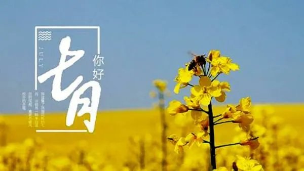July怎么读