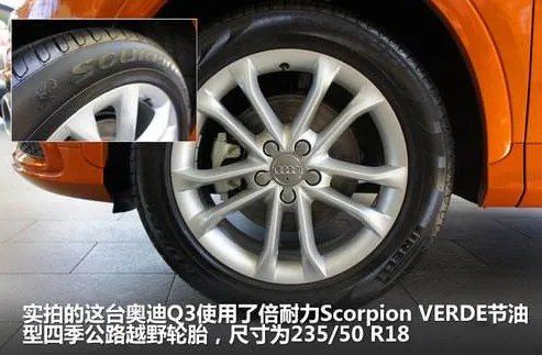 scorpion