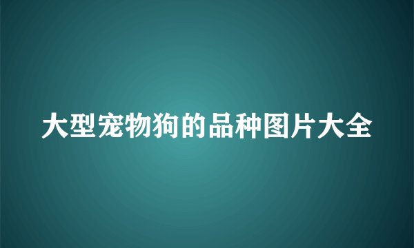 大型宠物狗的品种图片大全