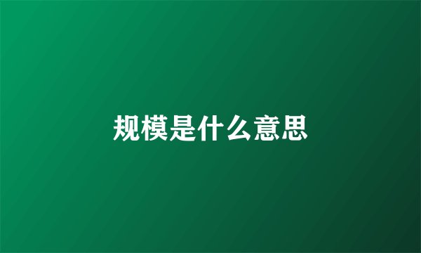 规模是什么意思