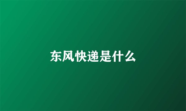 东风快递是什么
