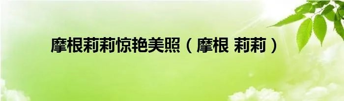 摩根莉莉惊艳美照（摩根 莉莉）