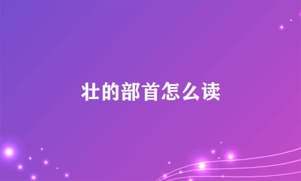 壮的部首怎么读