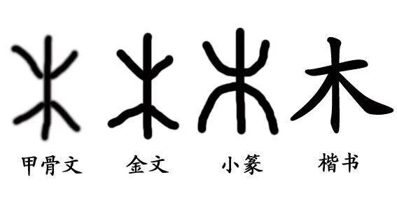 木字旁的字有哪些?