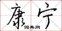 康宁