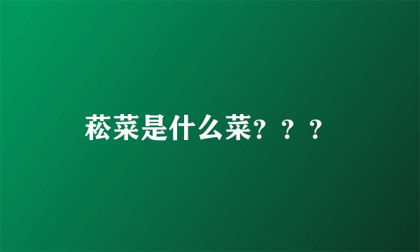 菘菜是什么菜？？？
