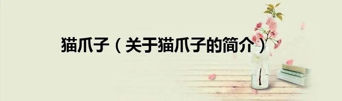 猫爪子（关于猫爪子的简介）