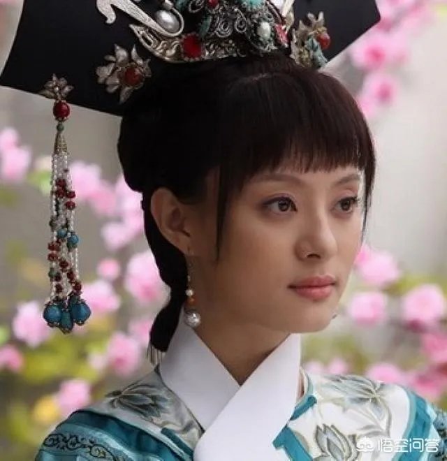 如何评价《甄嬛传》?