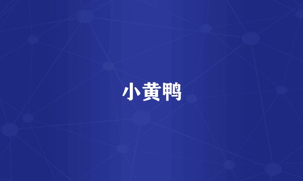 小黄鸭