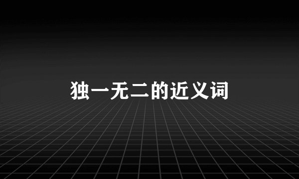 独一无二的近义词