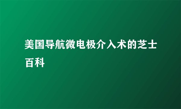 美国导航微电极介入术的芝士百科
