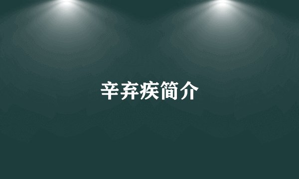 辛弃疾简介