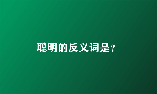 聪明的反义词是？