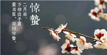 蛰怎么读