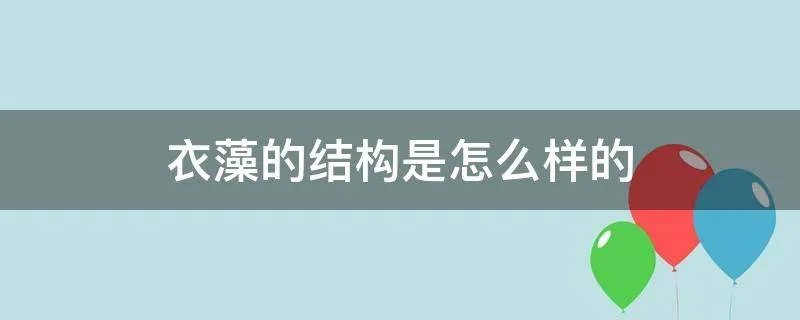 衣藻的结构是怎么样的