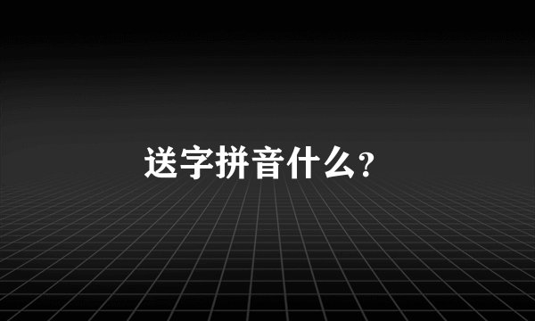送字拼音什么？