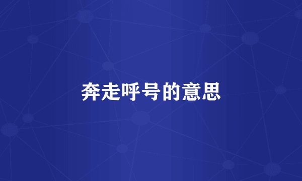 奔走呼号的意思