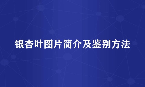 银杏叶图片简介及鉴别方法