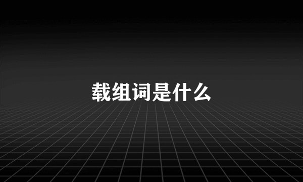 载组词是什么