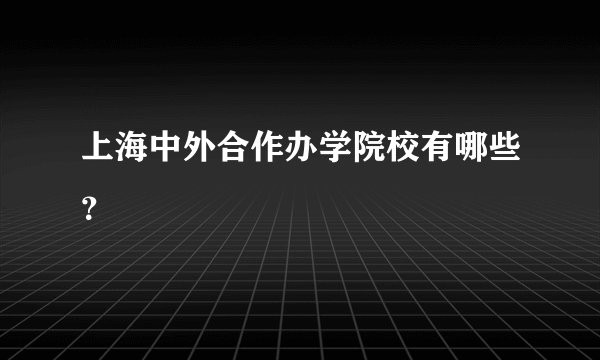 上海中外合作办学院校有哪些？