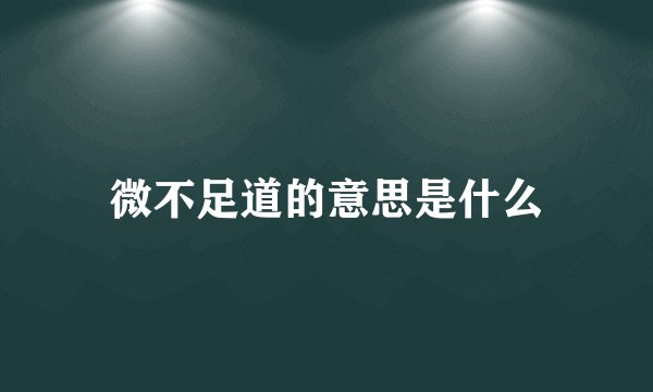 微不足道的意思是什么