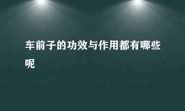 车前子的功效与作用都有哪些呢