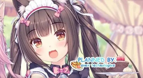 猫娘乐园好玩吗 猫娘乐园玩法简介