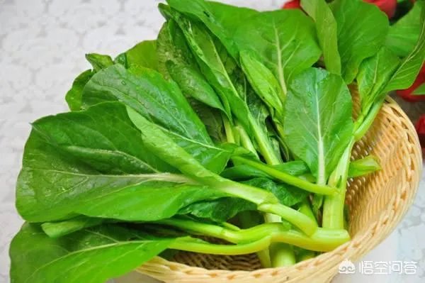 广东菜心怎么吃?