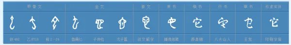 它笔顺笔画顺序