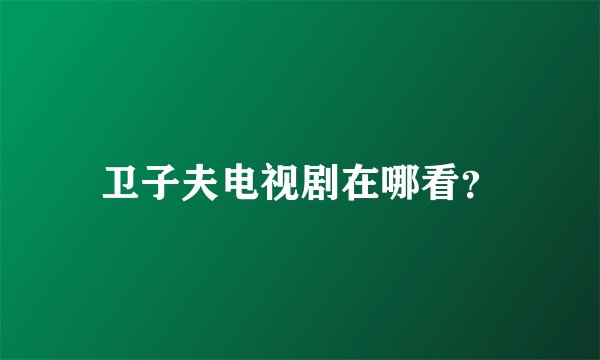 卫子夫电视剧在哪看？