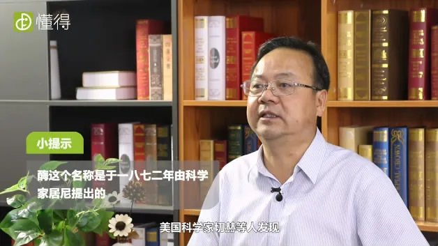 酶是什么物质