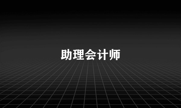 助理会计师