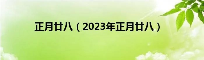 正月廿八(2023年正月廿八)