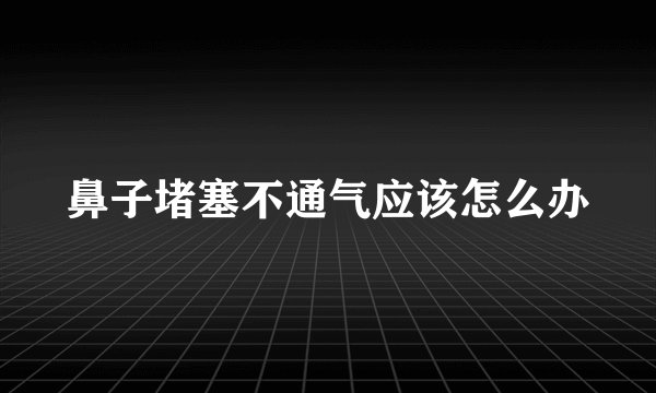 鼻子堵塞不通气应该怎么办