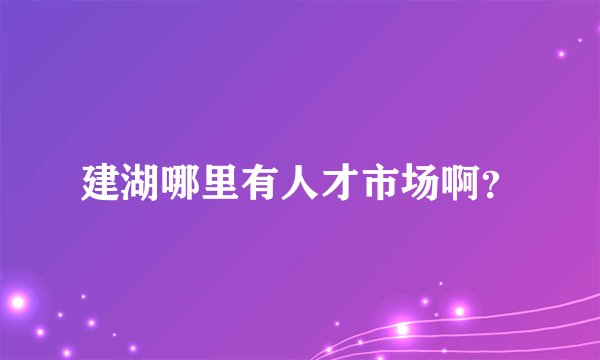 建湖哪里有人才市场啊？