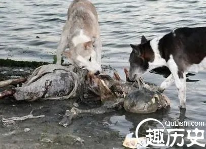 揭秘恒河浮尸 这些尸体到底隐藏什么阴谋?