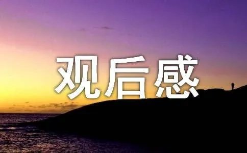 烈士陵园观后感