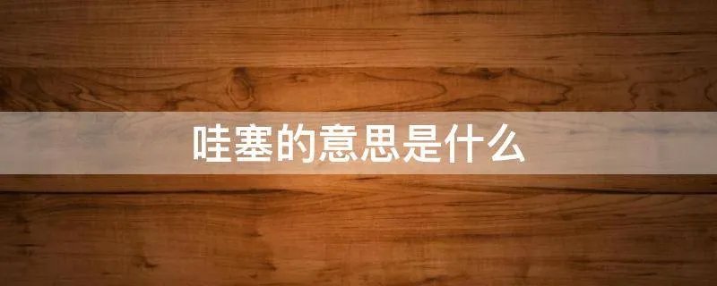 哇塞的意思是什么