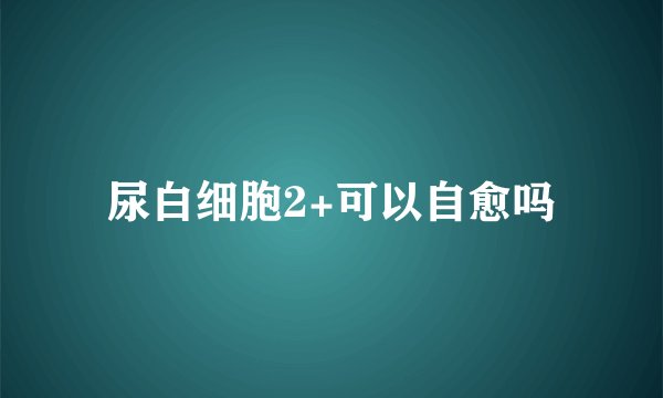 尿白细胞2+可以自愈吗