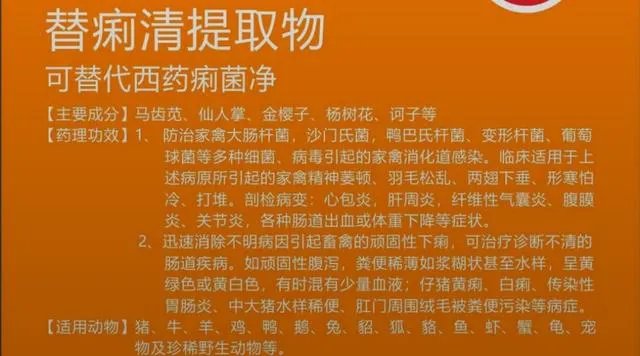 无抗养殖怎么做？