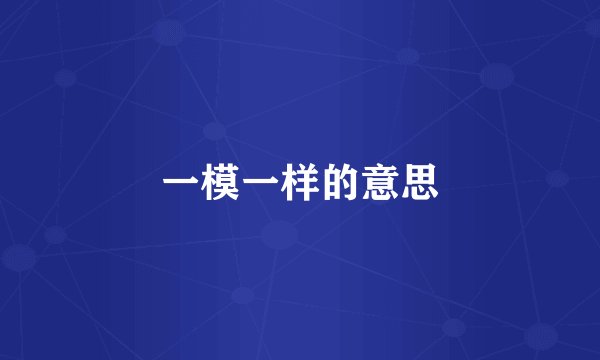 一模一样的意思