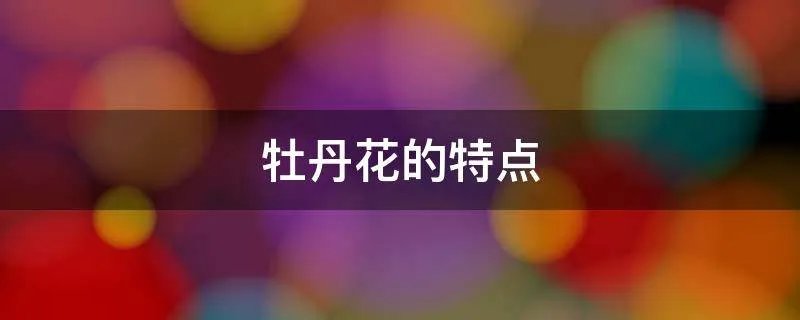 牡丹花的特点