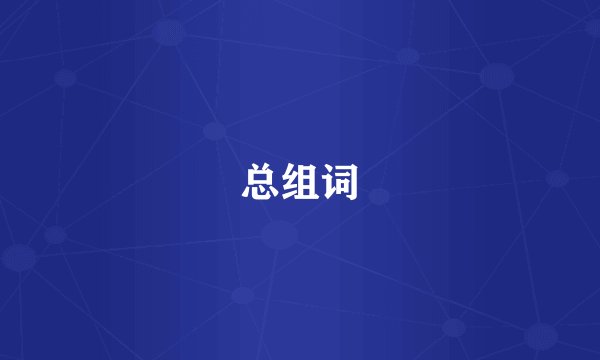总组词