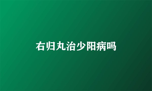 右归丸治少阳病吗