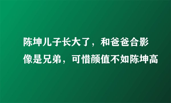 陈坤儿子长大了,和爸爸合影像是兄弟,可惜颜值不如陈坤高