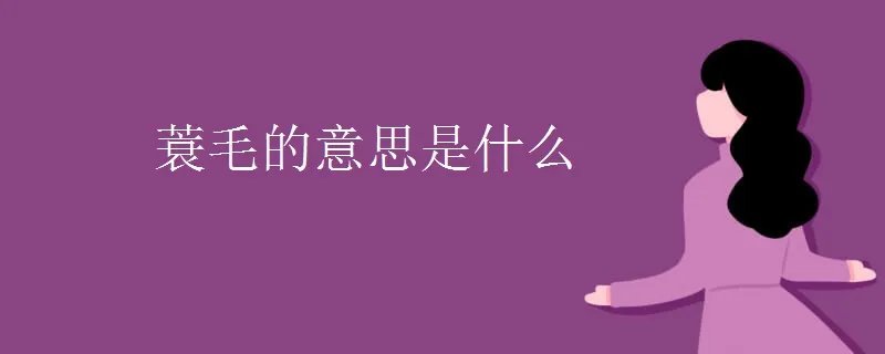 蓑毛的意思是什么