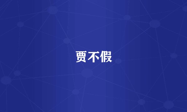 贾不假